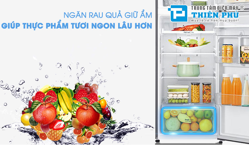 Tủ Lạnh LG Inverter 2 Cánh 255 Lít GN-D255PS
