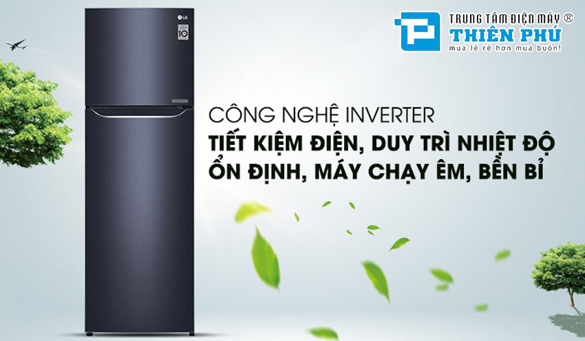 Tủ Lạnh LG Inverter 2 Cánh 272 Lít GN-L255PN