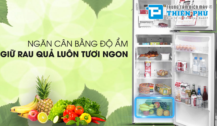 Phân tích 2 chiếc tủ lạnh LG trên 400 lít bán chạy nhất Thiên Phú