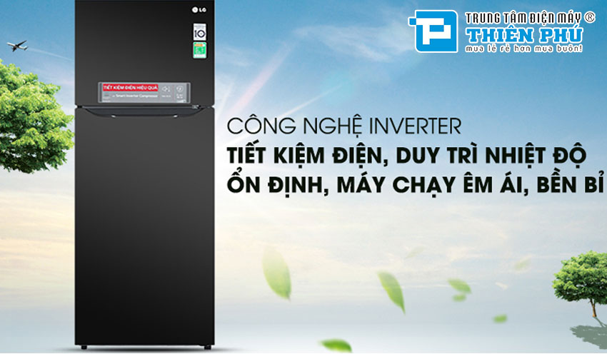 Tủ Lạnh LG Inverter 2 Cánh 393 Lít GN-B422WB