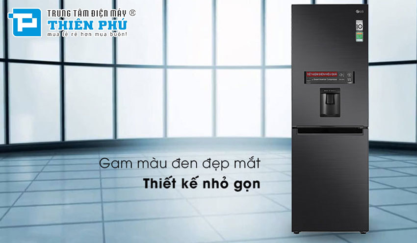 Tủ Lạnh LG Inverter 2 Cánh 305 Lít GR-D305MC