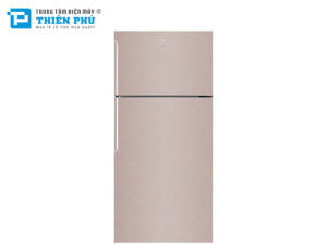 Tủ Lạnh Electrolux Inverter ETB5400B-G 536 Lít