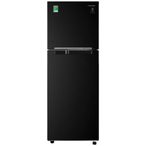 Tủ Lạnh Samsung Inverter RT25M4032BY/SV 2 Cánh 256 Lít