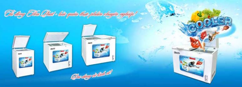 Gợi ý bạn mẹo hay giúp dự trữ thực phẩm tươi ngon trong tủ đông Hoà Phát đúng cách