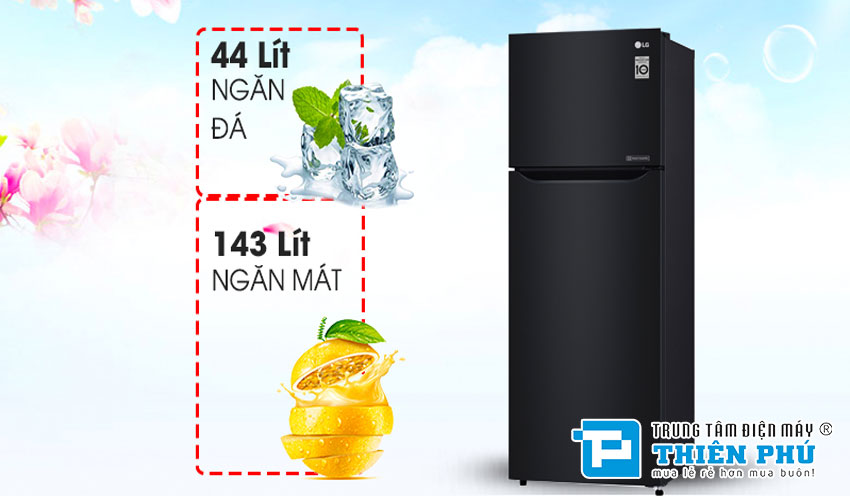 Tủ lạnh LG Inverter 2 Cánh 187 Lít GN-L205WB