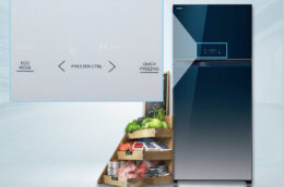 Tìm hiểu chiếc tủ lạnh Toshiba inverter GR-WG66VDAZ 2 cánh 600 lít