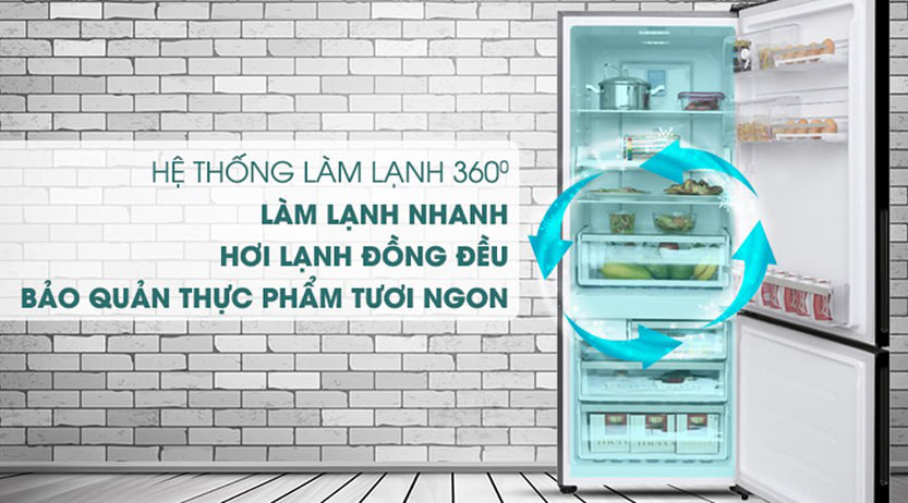 3 chiếc tủ lạnh 2 cánh hứa hẹn sẽ là lựa chọn hoàn hảo cho gia đình bạn
