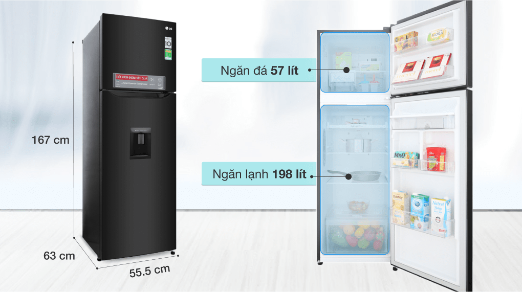 Chiếc tủ lạnh inverter 2 cánh nào hiện được ưa chuộng nhất?