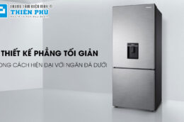 Tủ lạnh Samsung RT38K50822C/SV và Panasonic NR-BV360WSVN có gì giống nhau?