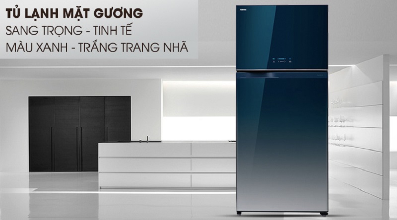 Điểm giống nhau giữa tủ lạnh Toshiba GR-HG55VDZ(GG) và Hitachi R-FG560PGV7