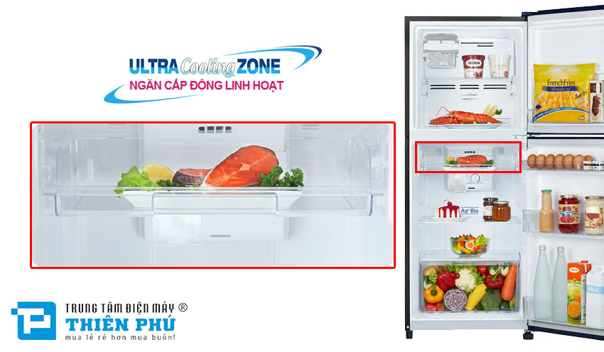 Tủ lạnh Toshiba GR-AG36VUBZ(XK1) và Samsung RB30N4010S8/SV có gì khác biệt?