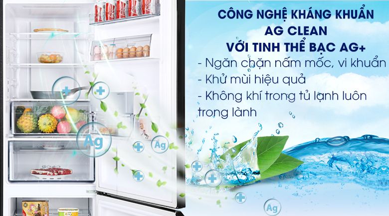 Nên mua tủ lạnh Panasonic NR-BX410WKVN tại Thiên Phú