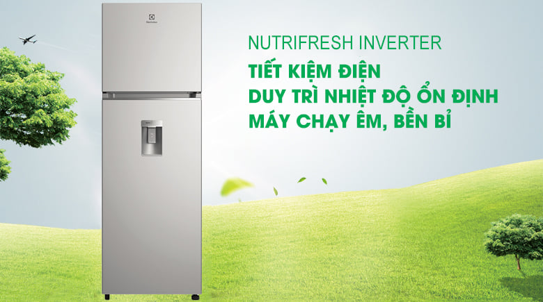Nên chọn mua chiếc tủ lạnh 2 cánh nào để tiết kiệm điện tốt nhất?