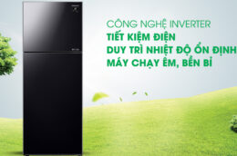 Hai mẫu tủ lạnh Samsung 2 cánh đáng để đầu tư cho gia đình