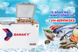 Giới thiệu tủ đông Sanaky VH-4099W2KD Dàn Đồng 2 Ngăn 400 Lít