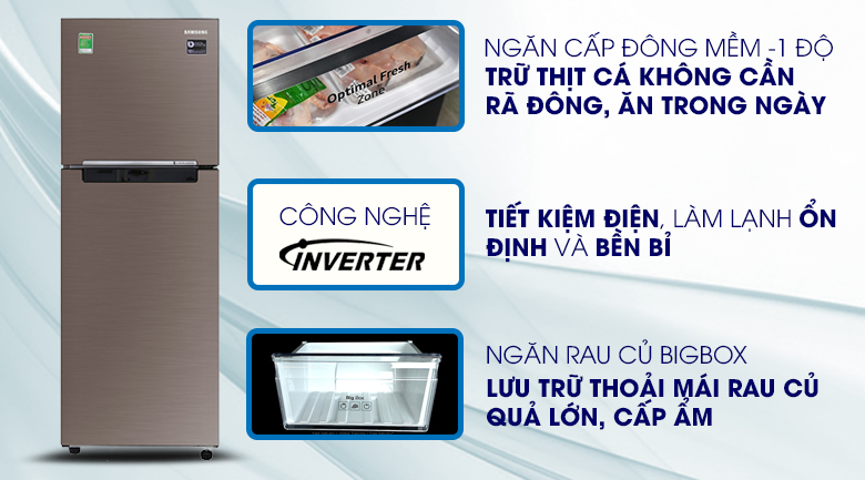 Khám phá hai mẫu tủ lạnh Samsung inverter được ưa chuộng nhất hiện nay