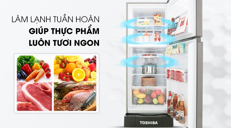 Lý do nên mua tủ lạnh Toshiba inverter GR-M21VUZ1
