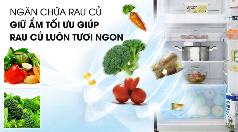Bật mí ưu điểm của tủ lạnh Toshiba GR-B22VP(SS)