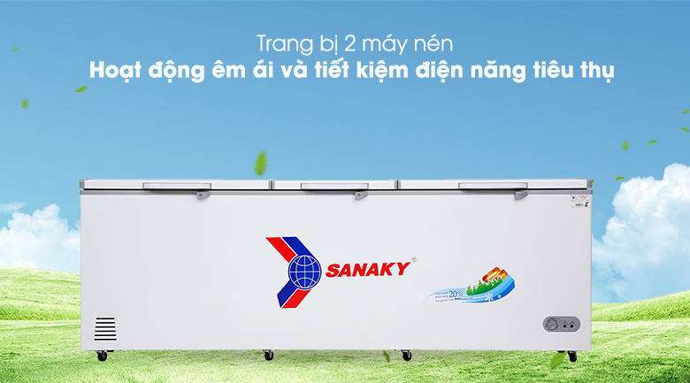 Dung tích 900 lít Tủ Đông Sanaky VH-1199HY sẽ bảo quản được bao nhiêu kg thực phẩm