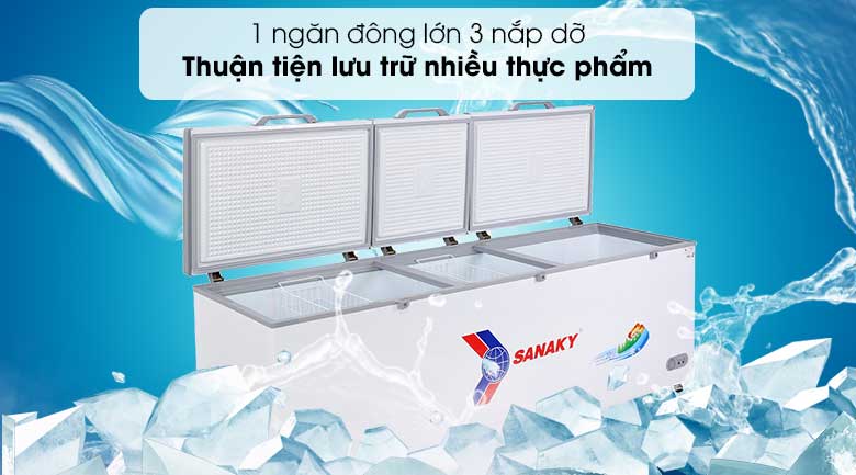 Dung tích 900 lít Tủ Đông Sanaky VH-1199HY sẽ bảo quản được bao nhiêu kg thực phẩm