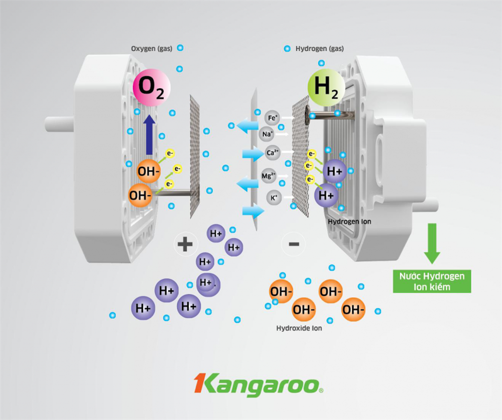 Cùng khám phá máy lọc nước Kangaroo KG100EO