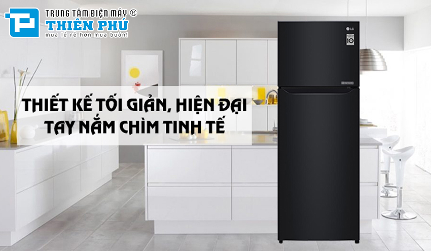 Tủ Lạnh LG Inverter 2 Cánh 209 Lít GN-B222WB