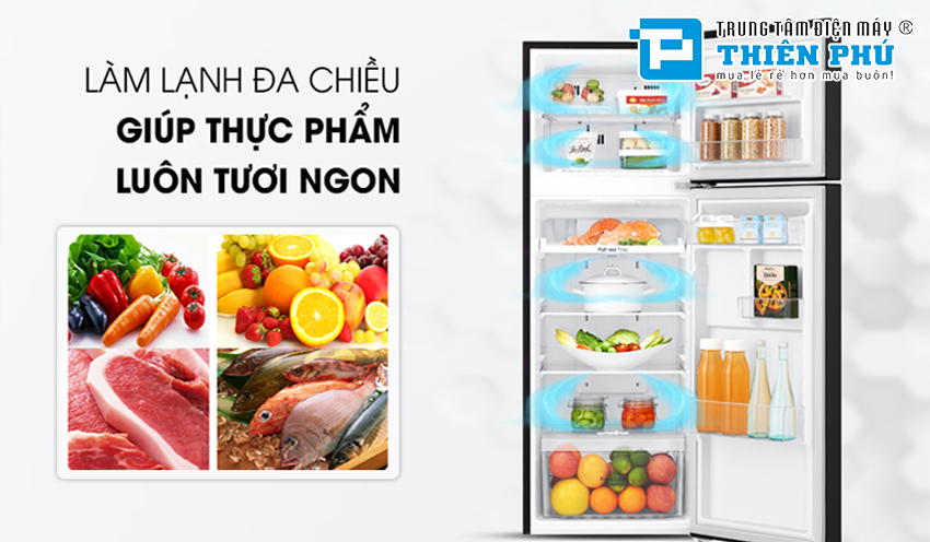 Tham khảo 3 model tủ lạnh LG 2 cánh giá rẻ tại Điện Máy Thiên Phú