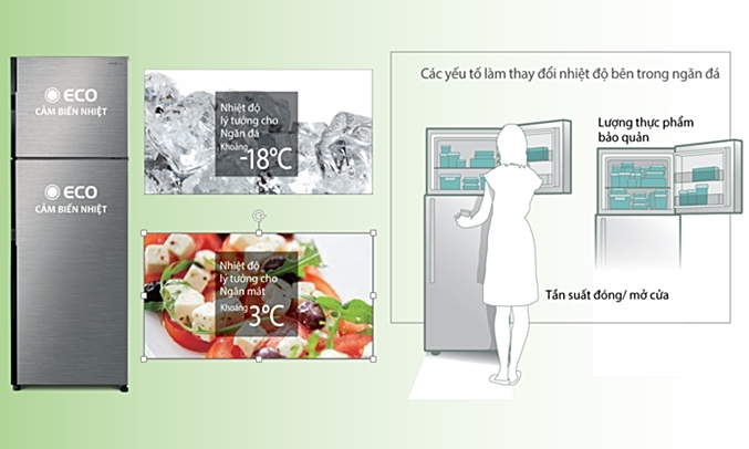 Chiếc tủ lạnh giá rẻ dưới 200 lít nào đang được lựa chọn nhiều nhất?