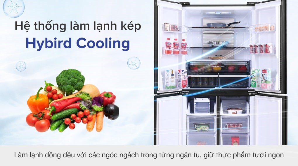 Điểm khác nhau ở tủ lạnh Sharp SJ-FX600V-SL và Samsung RS62R5001B4/SV