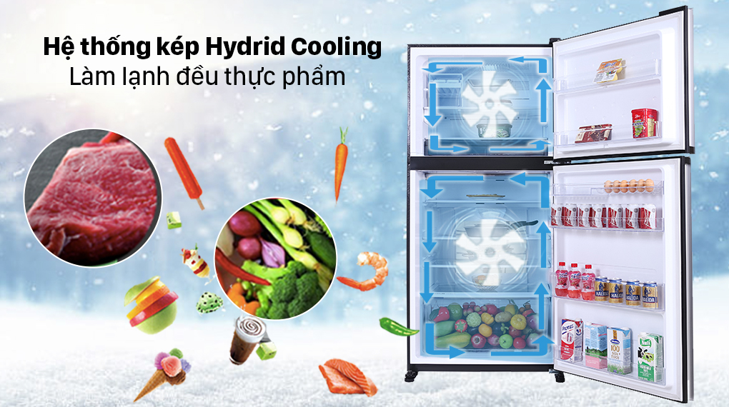 Một số điểm giống nhau ở tủ lạnh Hitachi R-B505PGV6(GBK) và Sharp SJ-XP570PG-MR