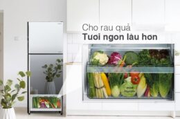 Điểm khác biệt ở tủ lạnh Hitachi R-FVX480PGV9(MIR) và Samsung RT35K5982BS/SV