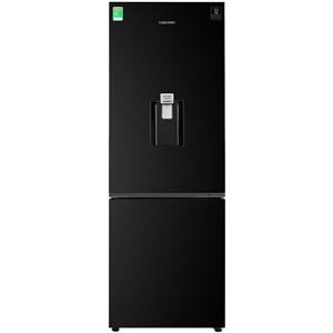 3. Tủ Lạnh Samsung Inverter 307 lít RB30N4170BU/SV 2 Cánh