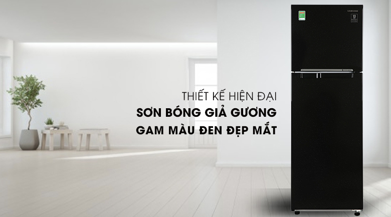 Tủ lạnh Samsung RT25M4032BU/SV, sự lựa chọn lý tưởng cho các gia đình dưới 3 người
