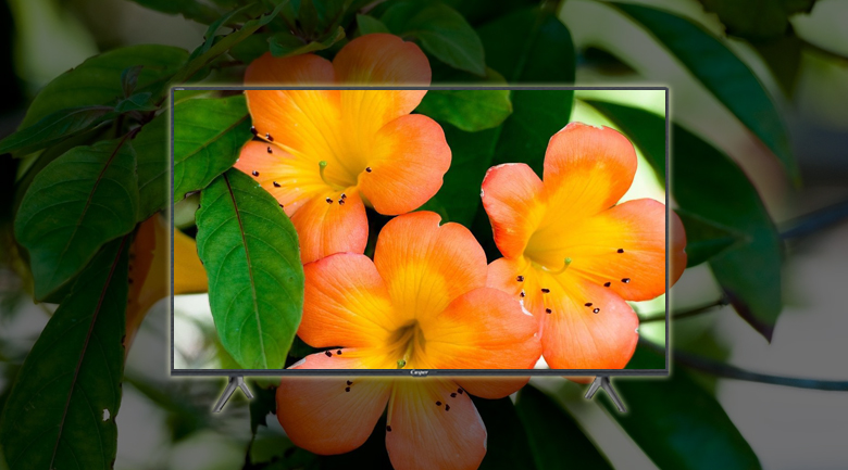 Giải mã sức hút của Smart Tivi Casper 43 Inch 43FX5200 giá rẻ