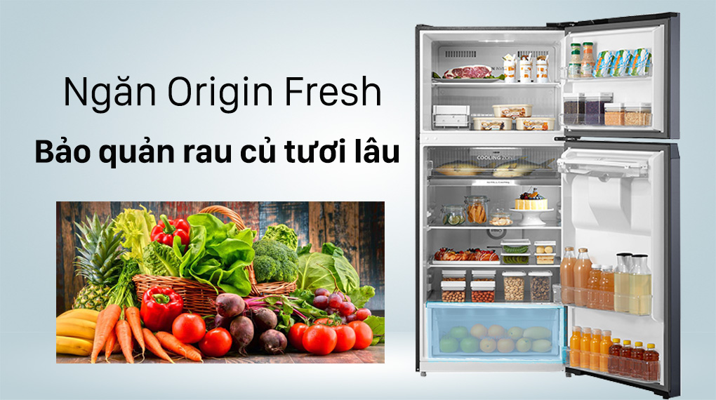 Đừng mua tủ lạnh Toshiba GR-RT535WE-PMV(06)-MG nếu không muốn thực phẩm bảo quản tốt