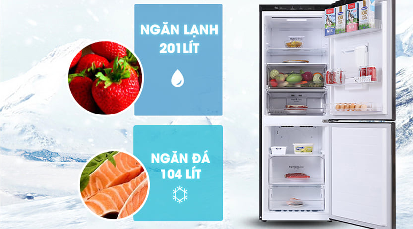 Đừng bỏ lỡ cơ hội khi mua tủ lạnh LG GR-D305MC tại Thiên Phú