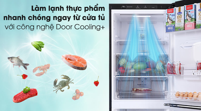 Đừng bỏ lỡ cơ hội khi mua tủ lạnh LG GR-D305MC tại Thiên Phú