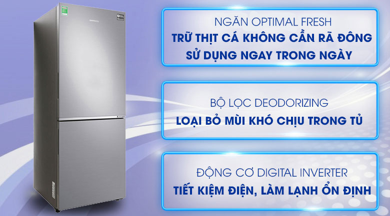 Tìm hiểu hai mẫu tủ lạnh Samsung 2 cánh trên 300 lít được quan tâm nhất