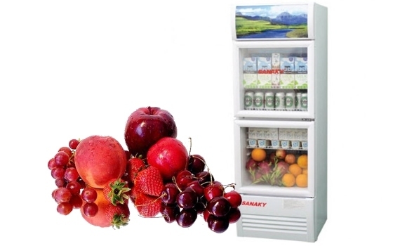Tủ mát Sanaky 1 cánh hay 2 cánh tốt hơn? So sánh chi tiết