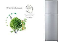Giới thiệu 2 mẫu tủ lạnh Sharp 2 cánh giá rẻ được ưa chuộng nhất hiện nay