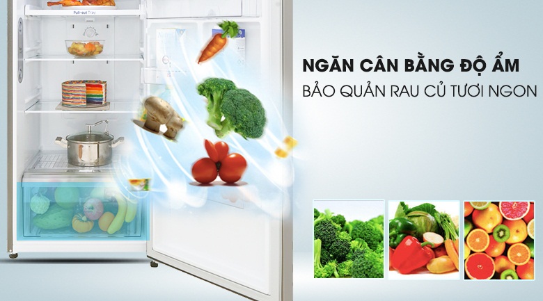 Tìm hiểu chiếc tủ lạnh LG GN-D315S 2 cánh 315 lítvvvvv