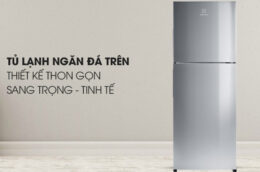 Những điều cần biết khi mua tủ lạnh Electrolux inverter ETB2802J-A tại Thiên Phú