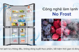 Đánh giá tủ lạnh Samsung RF48A4000B4/SV đây có phải một lựa chọn tốt?