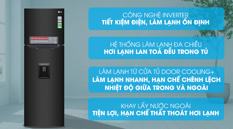 Review chất lượng tủ lạnh LG giá rẻ inverter 2 cánh 255 Lít GN-D255BL