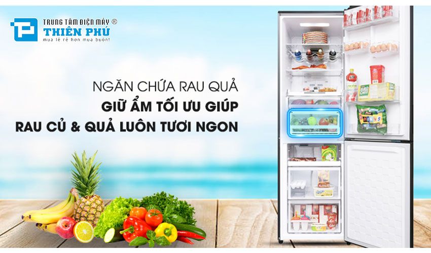 Tủ lạnh Hitachi R-B330PGV8(BSL) 275 lít phù hợp cho mọi gia đình Việt