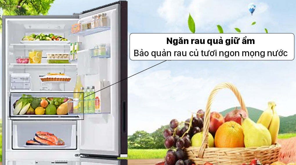 Những lý do đáng để bạn chọn tủ lạnh Samsung RB27N4190BU/SV