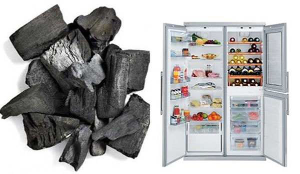 Nguyên nhân và khắc phục khi tủ lạnh bị mùi hôi