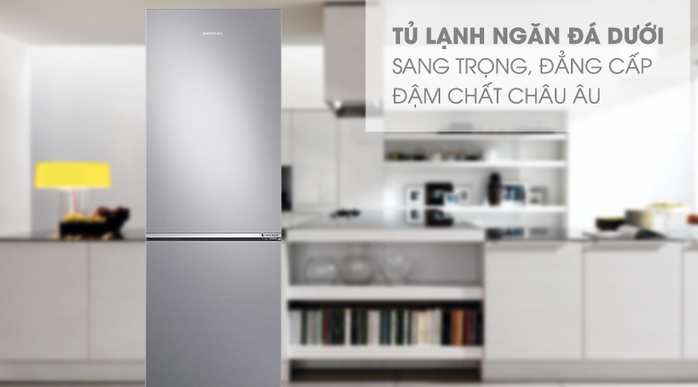 Hai mẫu tủ lạnh Samsung 2 cánh mà bạn nên lựa chọn ngay