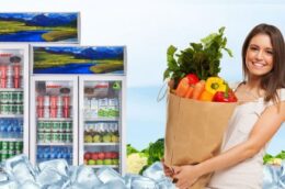 Top 5 tủ mát Sanaky thông dụng được lựa chọn nhiều nhất hiện nay