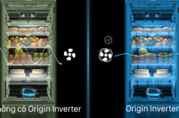 Giới thiệu 2 chiếc tủ lạnh Toshiba trên 250 lít bán chạy nhất hiện nay